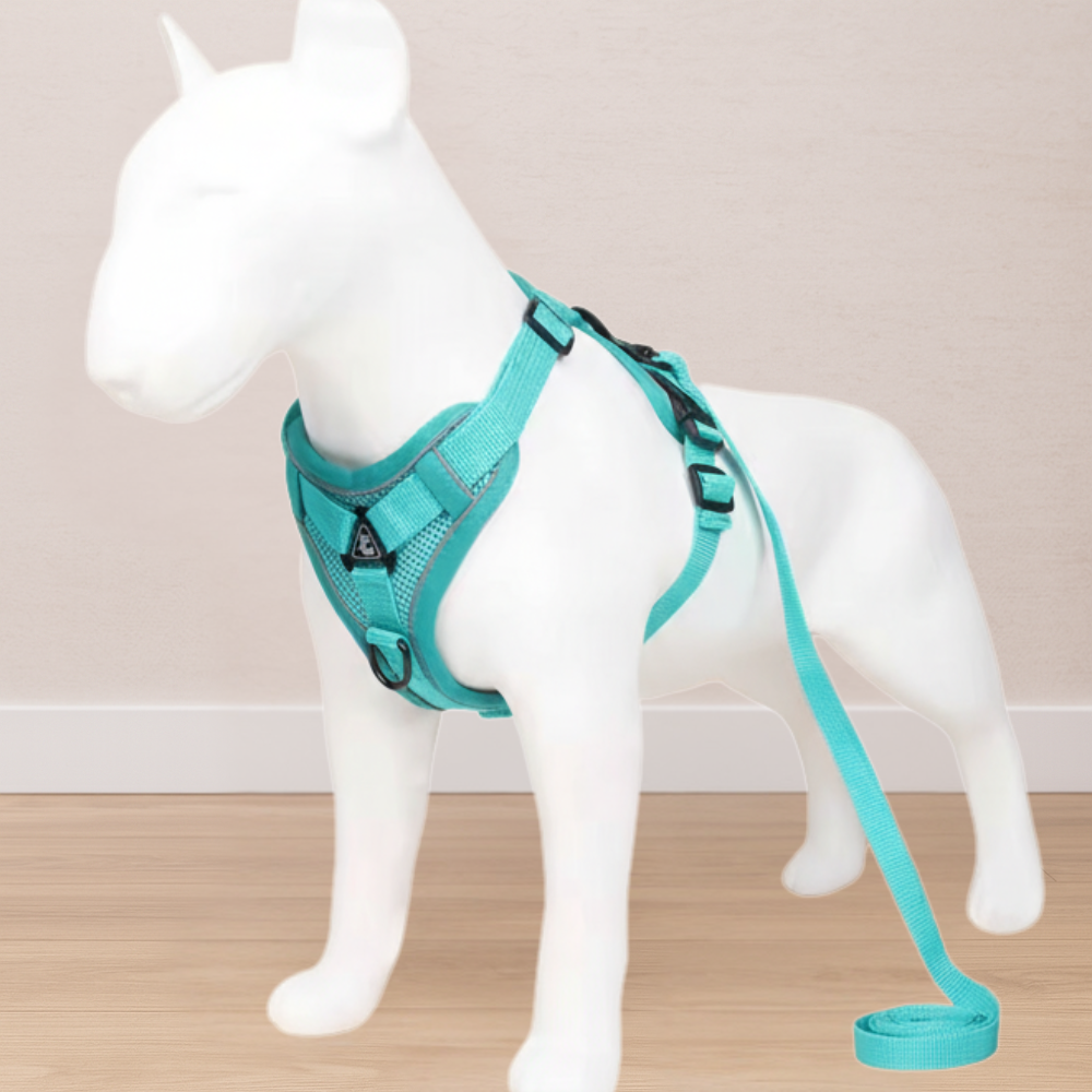 Small Dog Harness + Leash | No-Pull, Adjustable, Total Comfort