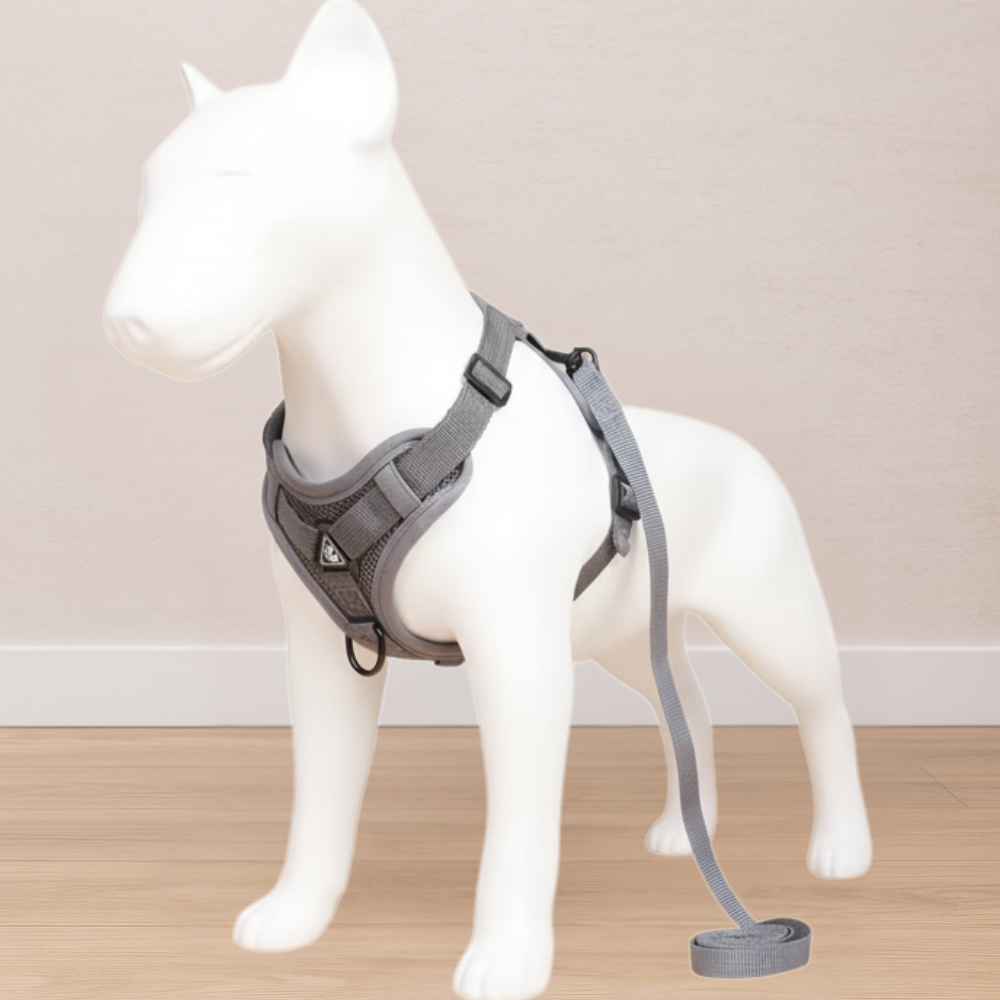 Small Dog Harness + Leash | No-Pull, Adjustable, Total Comfort