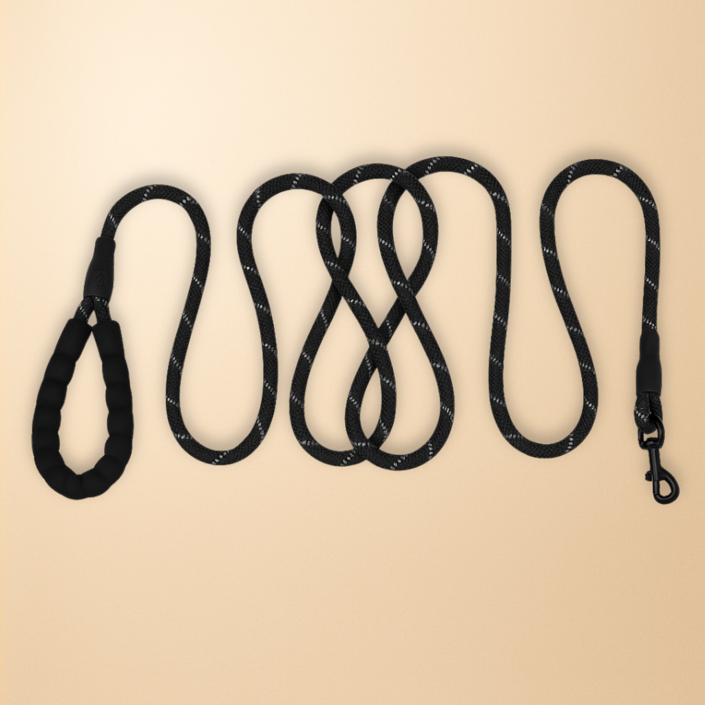 Durable Dog Leashes – 150/300 cm | Soft & Reinforced Handle | Ideal for Small, Medium, and Large Dogs