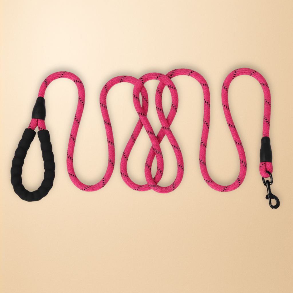 Durable Dog Leashes – 150/300 cm | Soft & Reinforced Handle | Ideal for Small, Medium, and Large Dogs