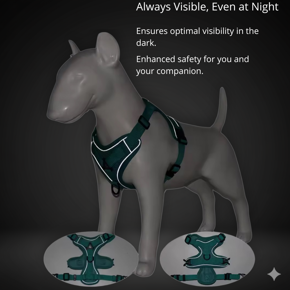 Small Dog Harness + Leash | No-Pull, Adjustable, Total Comfort