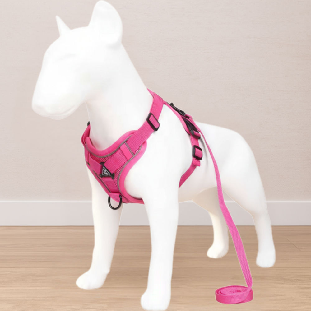 Small Dog Harness + Leash | No-Pull, Adjustable, Total Comfort