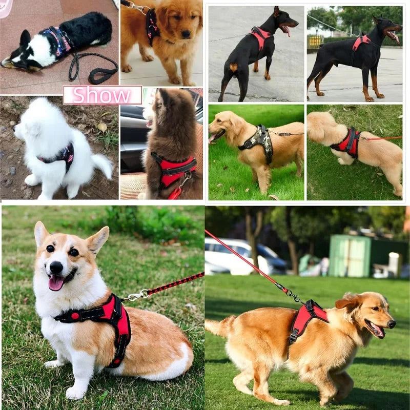 KYNTRA™ – No-Pull Adjustable Dog Harness | Strong & Comfortable Vest for All Breeds