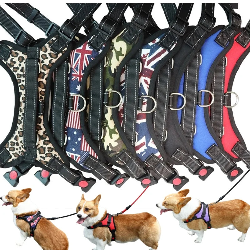 KYNTRA™ – No-Pull Adjustable Dog Harness | Strong & Comfortable Vest for All Breeds