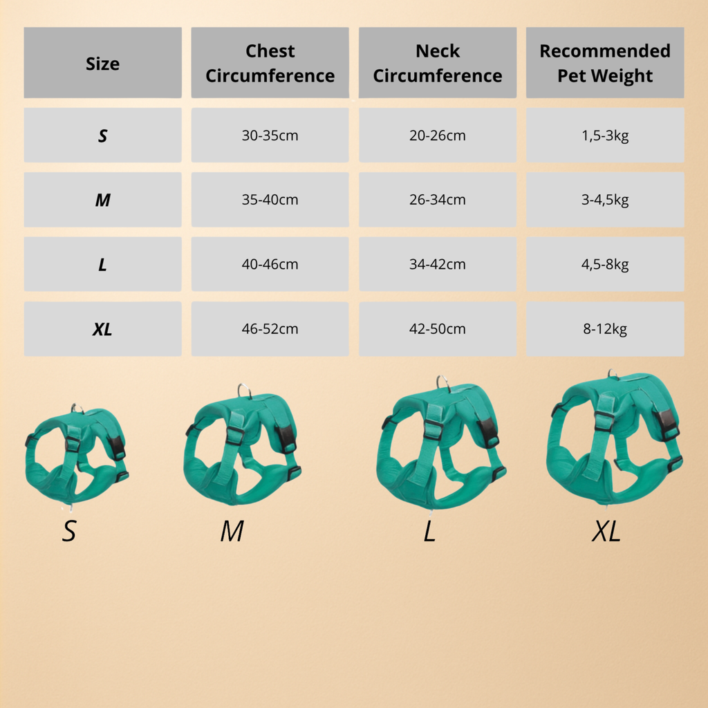 Small Dog Harness + Leash | No-Pull, Adjustable, Total Comfort